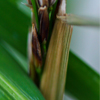 image13