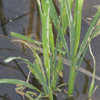 image10