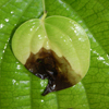 image06