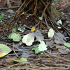 image08