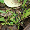 image09