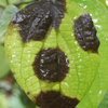 image01