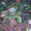 image02