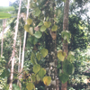 image03