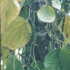 image04