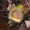 image02