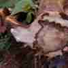 image04