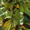 image01