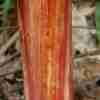 image09