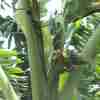 image03