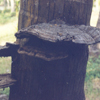 image9