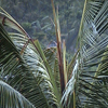 image10