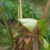 image15