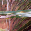 image05