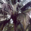image08