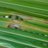 image18